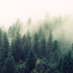 Meet your Posher, Sofia